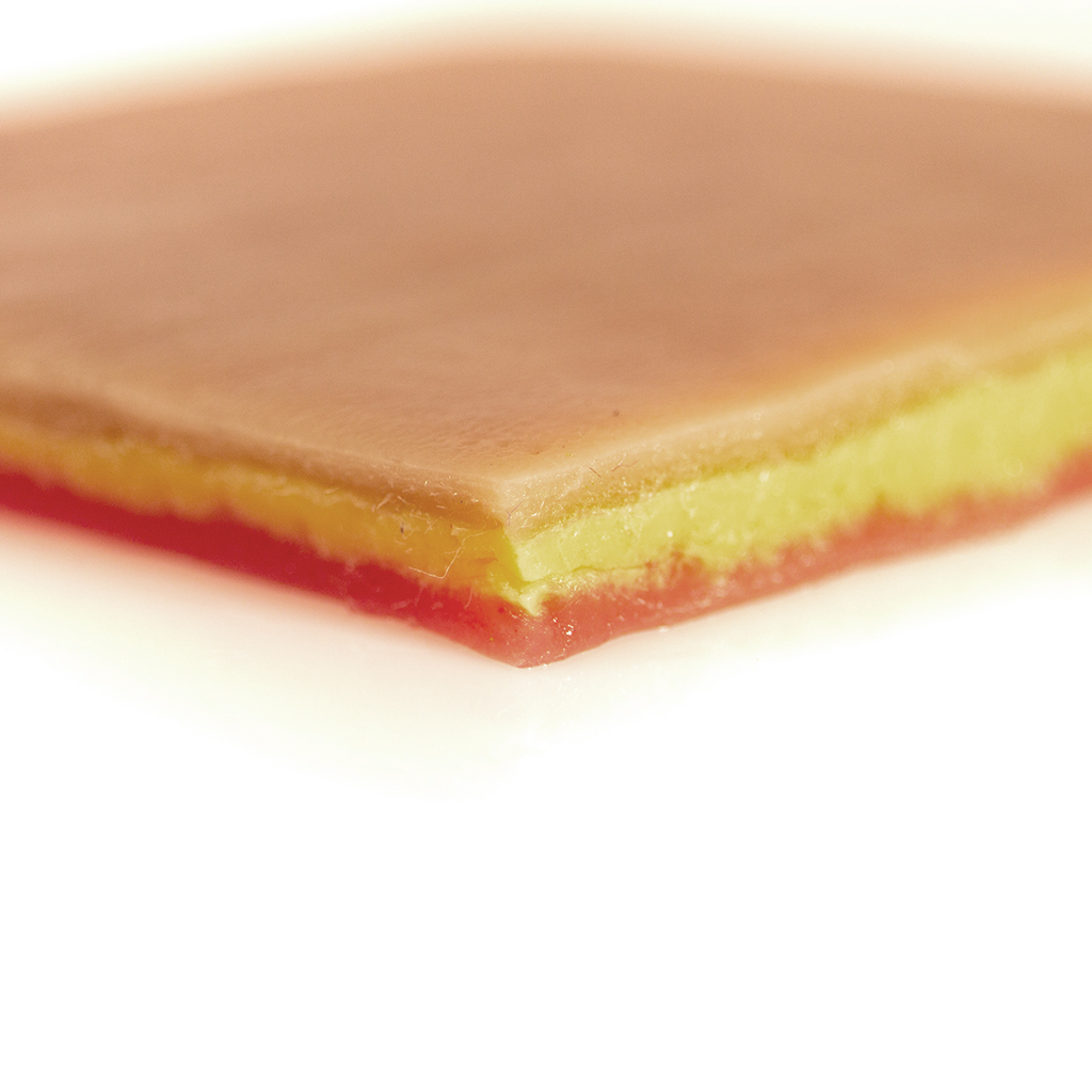 Muscular Tissue Plate - Image 4