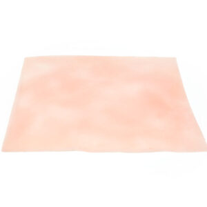Stomach Tissue