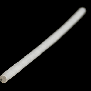 Femoral Artery