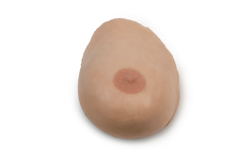 Complex Breast Phantom